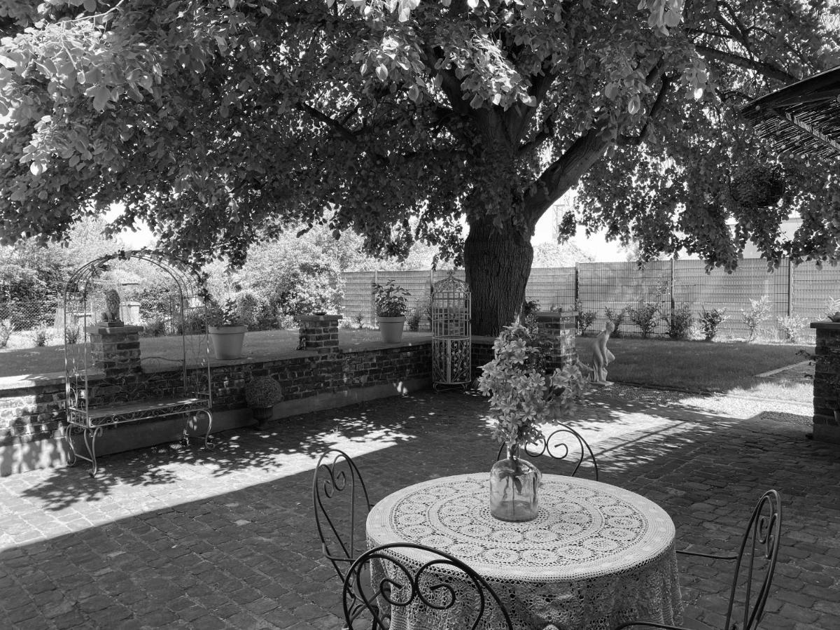 La Villa Des Roses - Suite & Spa Lys-lez-Lannoy 外观 照片